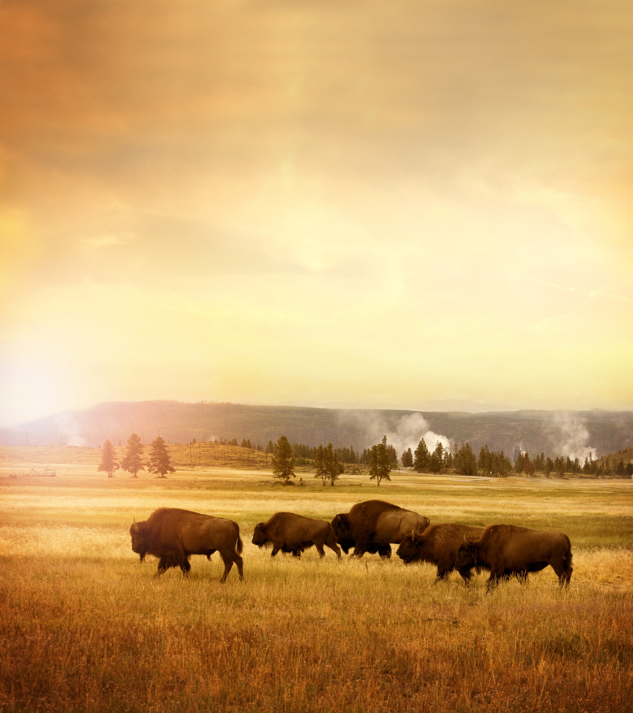 <p>Национален парк Yellowstone</p>