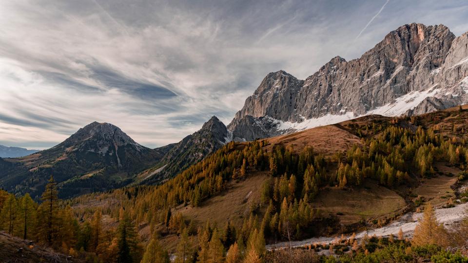 <p><strong>Водолей</strong></p>

<p>Днес емоциите ще попречат на някои от вас да се съсредоточите върху задълженията си, а други просто няма да сте в най-добрата си физическа форма. Ето защо е по-удачно да пестите силите си и да избягвате хора и ситуации, които биха могли да ви причинят допълнителен стрес.</p>