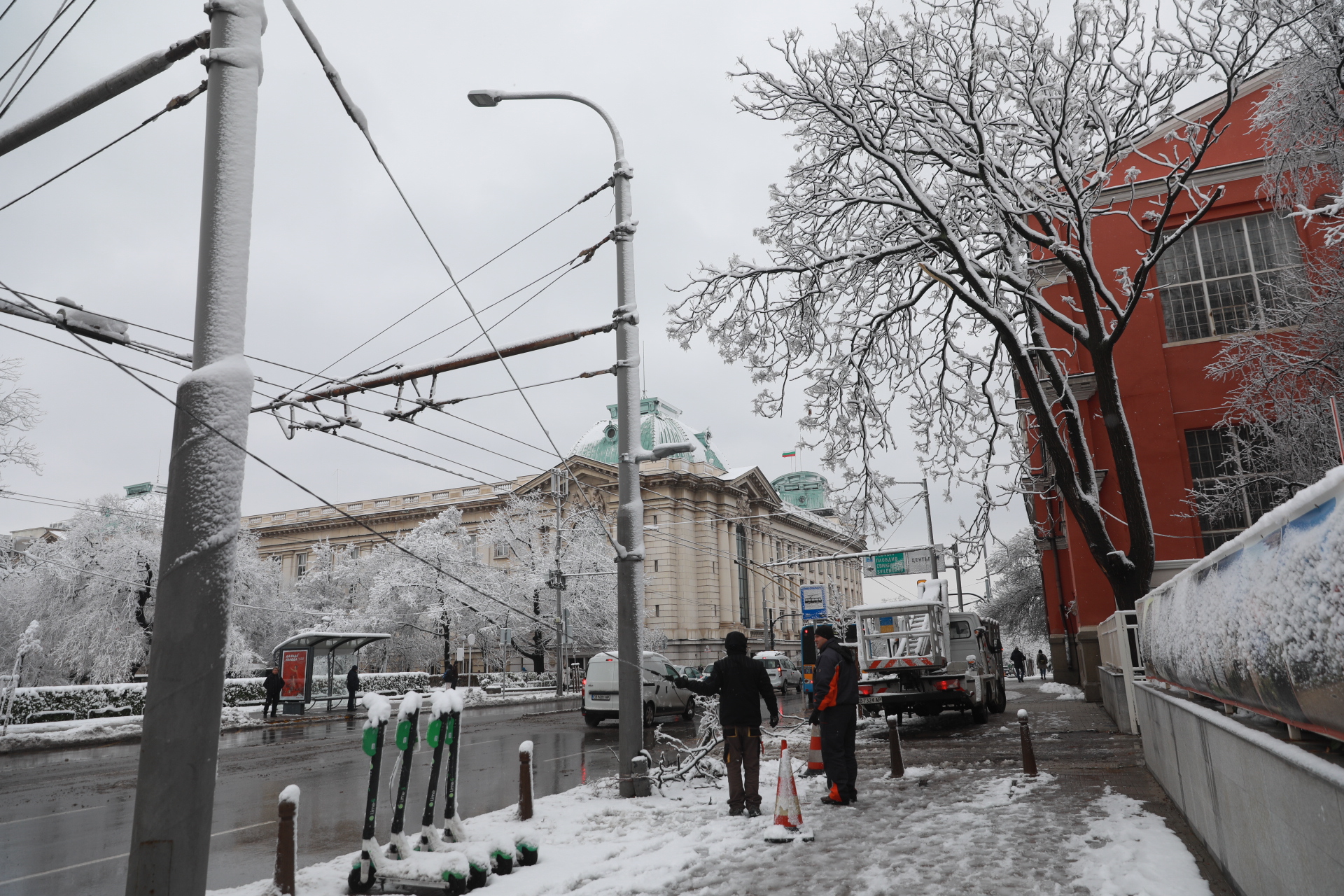 <p>Дърво падна в Докторската градина в София</p>