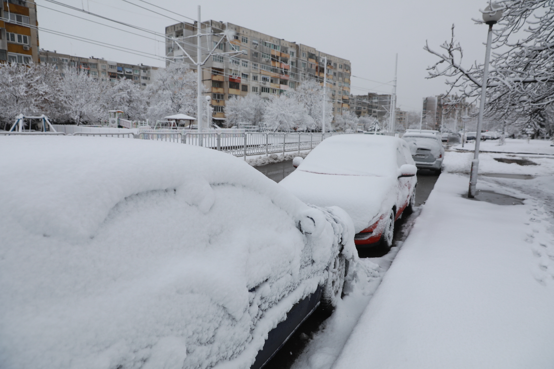 <p>Дърво падна в Докторската градина в София</p>