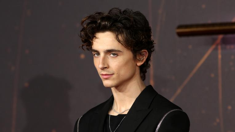  Тимъти Шаламе на аления килим за „ Дюн “ 