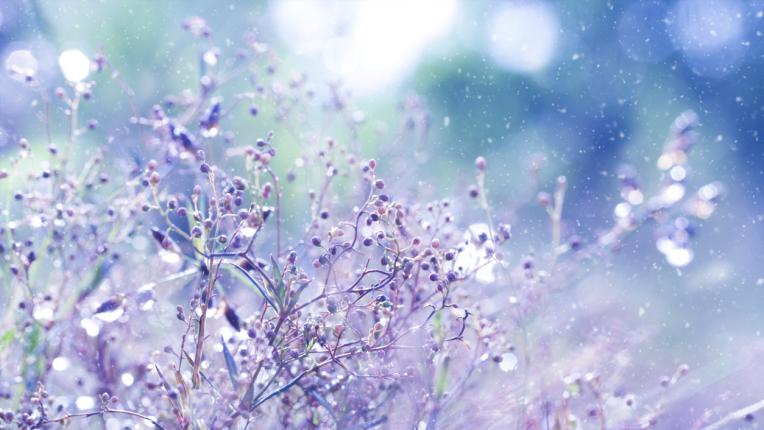  Дневен хороскоп за 18 януари, сряда 