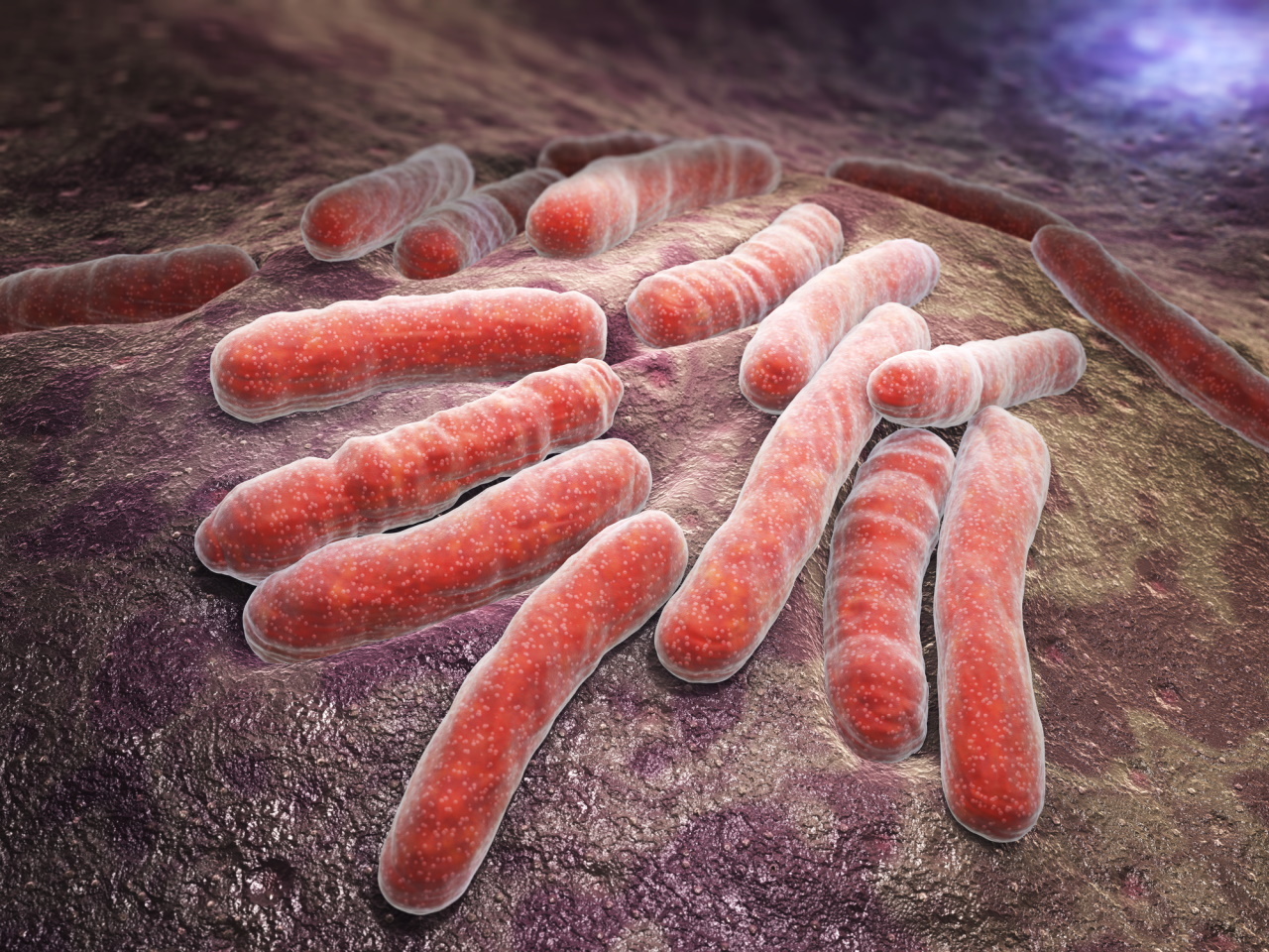 <p><strong>Бацил на Кох</strong></p>

<p><span>Mycobacterium tuberculosis е вид патогенни бактерии от семейство Mycobacteriaceae и причинителят на туберкулозата. За първи път открит през 1882 г. от Робърт Кох,</span></p>