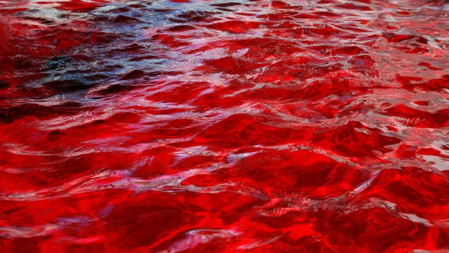 Река потече червена и замириса на кръв