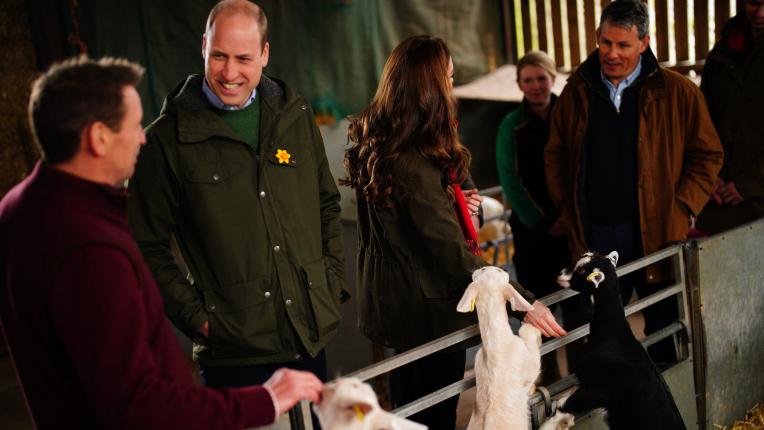  Кейт и Уилям: ден в Уелс 