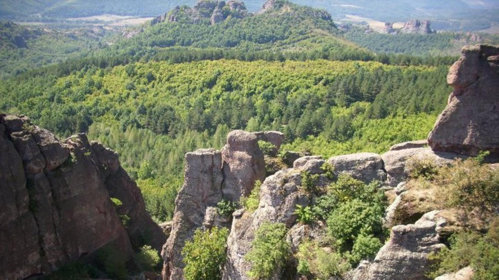 Далечни любителски кадри на предполагаемия хищник край Шумен се появиха