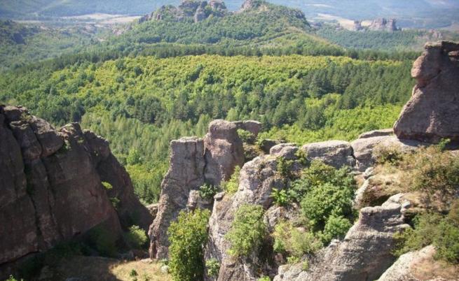 Пума или ягуар - любителски кадри на животното, което издирват край Шумен (ВИДЕО)