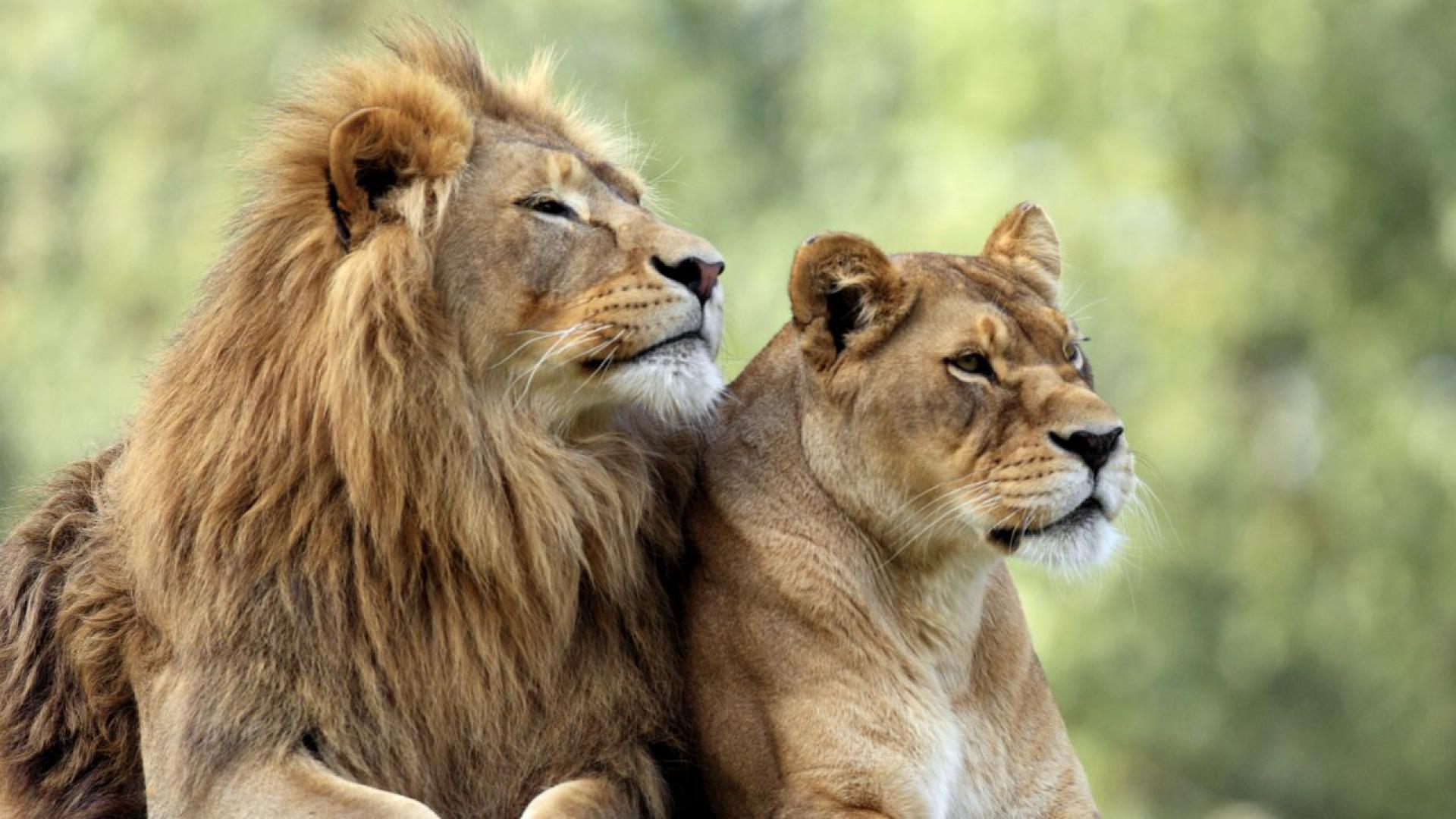 Зад гаража си в град в северната част на Тайланд