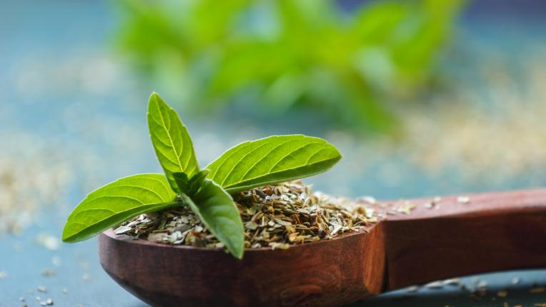 6 аюрведични билки, които ще ви осигурят сияйна и млада кожа