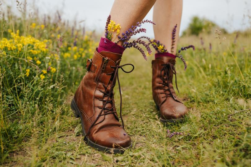 Дневен хороскоп за 29 май, неделя - снимка 10