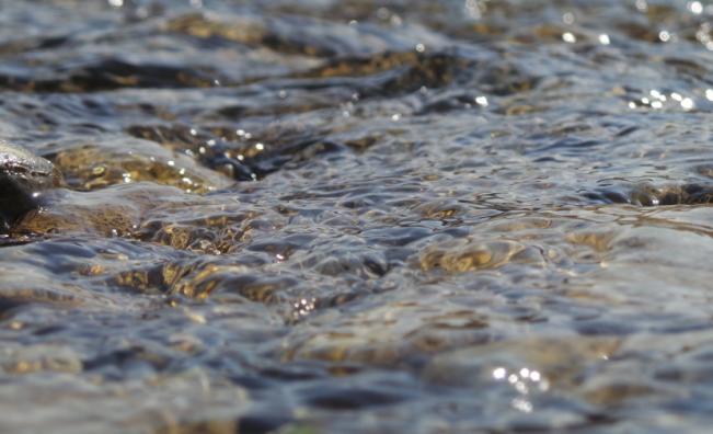 <p>Тежка нощ във Видинско: Река Делейнска излезе от коритото си</p>