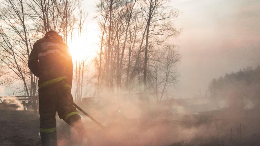 <p>Голям горски пожар край Берлин, евакуират хора</p>