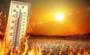 В сезона на адските жеги: Най-интензивните горещи вълни в историята