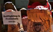 Активисти, облечени като динозаври, се обявиха против бикоборството в Памплона (СНИМКИ)
