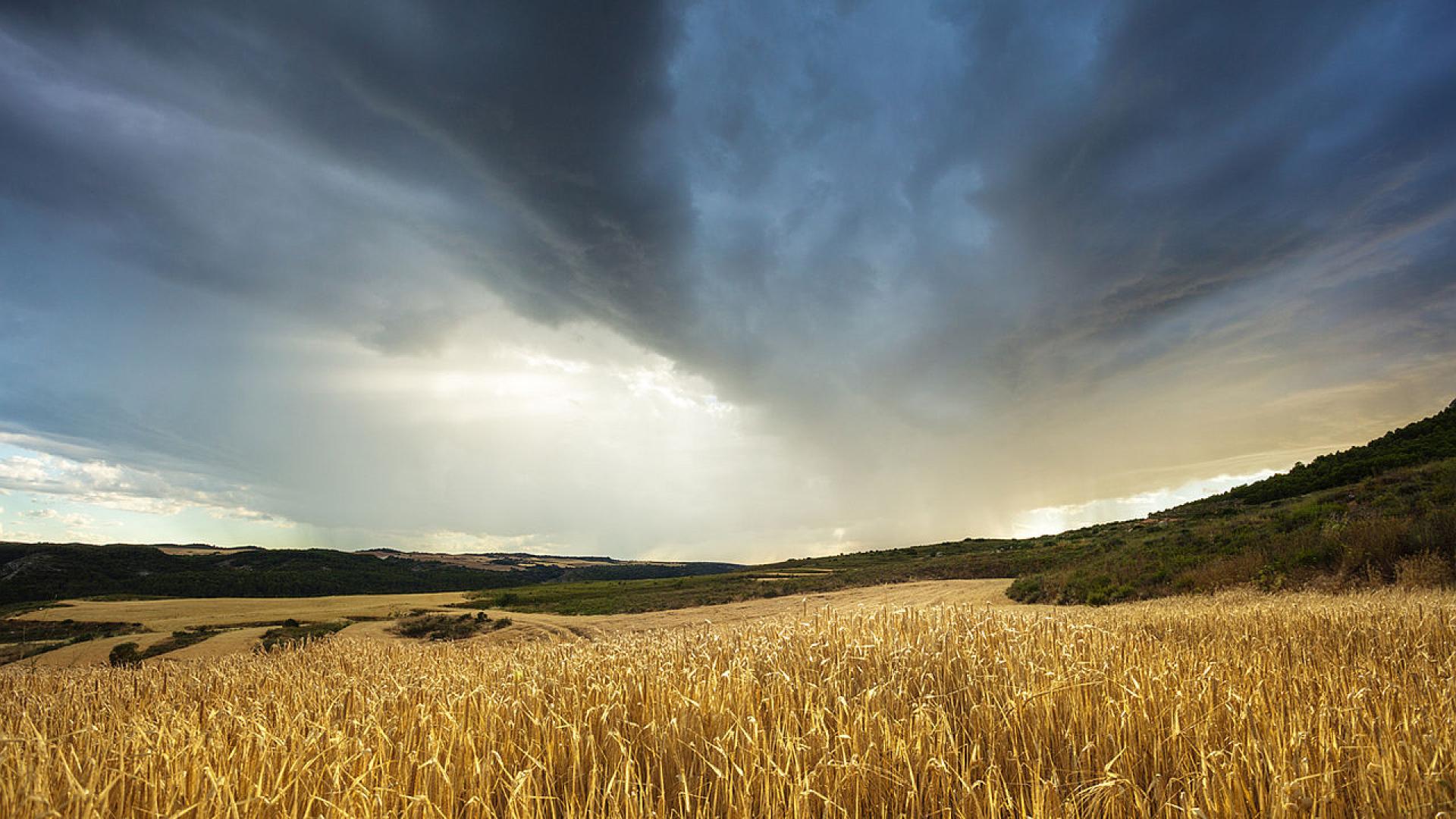 Внеделя облачността ще се задържи предимно значителна и на места