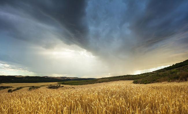 🌦️ Вятър и облаци на много места, но в неделя слънцето се показва
