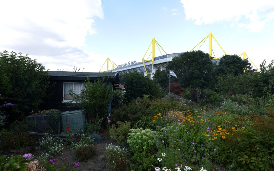 Борусия Дортмунд - Байер Леверкузен