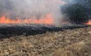 Заради пожара: Обявиха частично бедствено положение в община Панагюрище