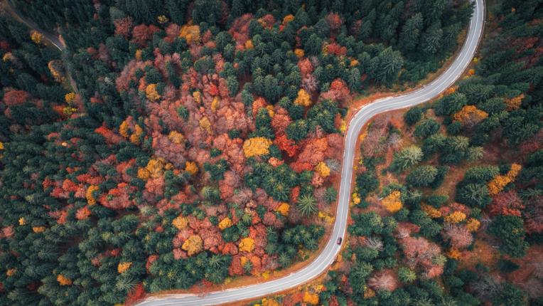  Гадание по картинки: какво ви чака през септември 