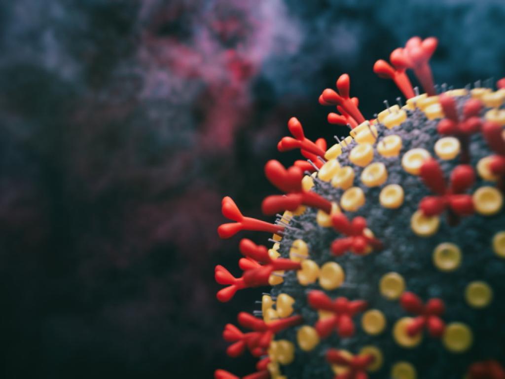 През последното денонощие са регистрирани нови 62 случая на коронавирус