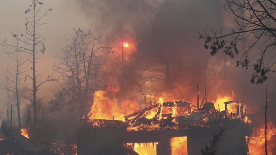 Пожар в Калифорния унищожи 100 къщи