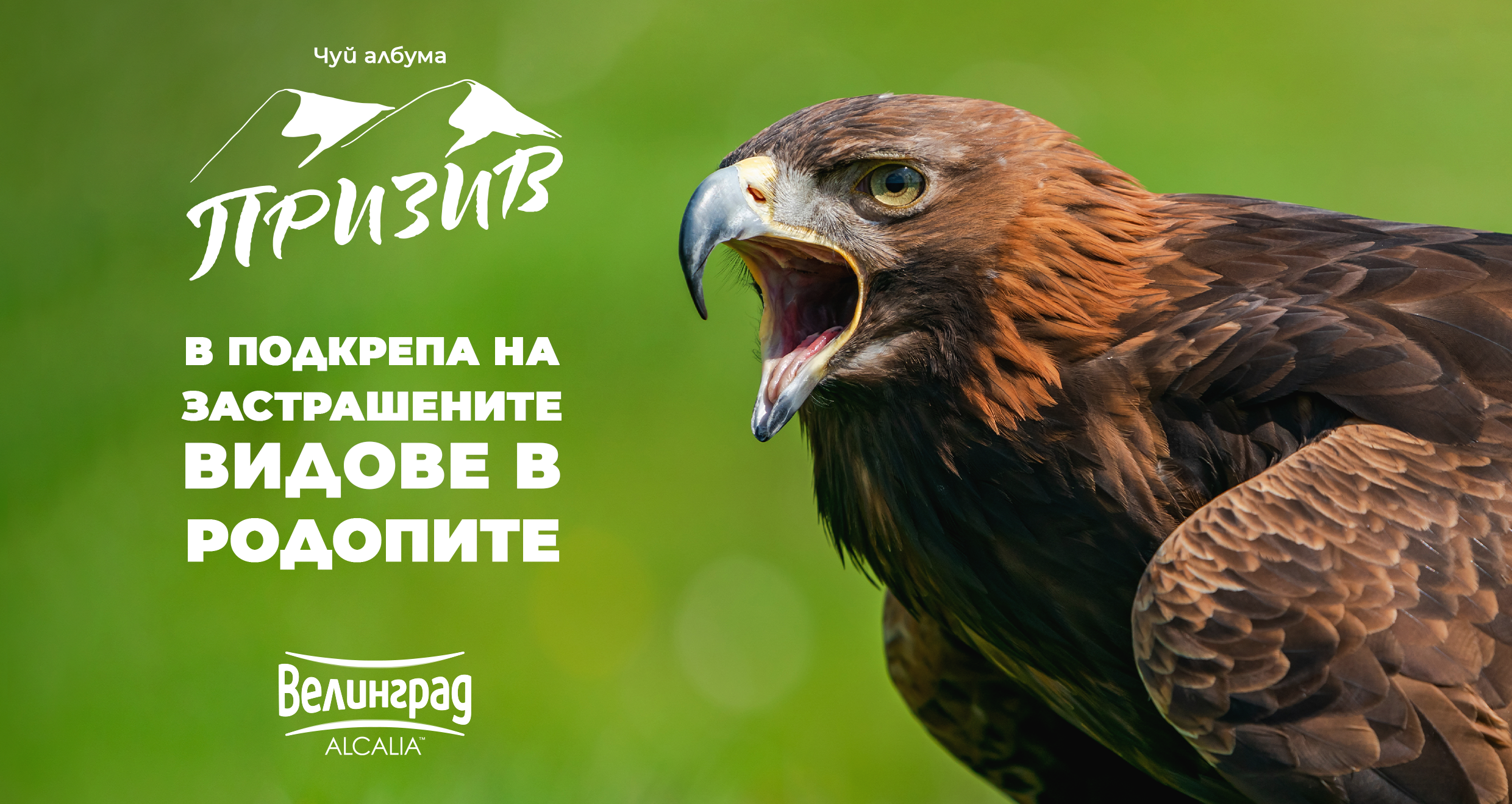 Призив: Да помогнем на застрашените животински видове в Родопите с кампанията на минерална вода “Велинград ALCALIA"