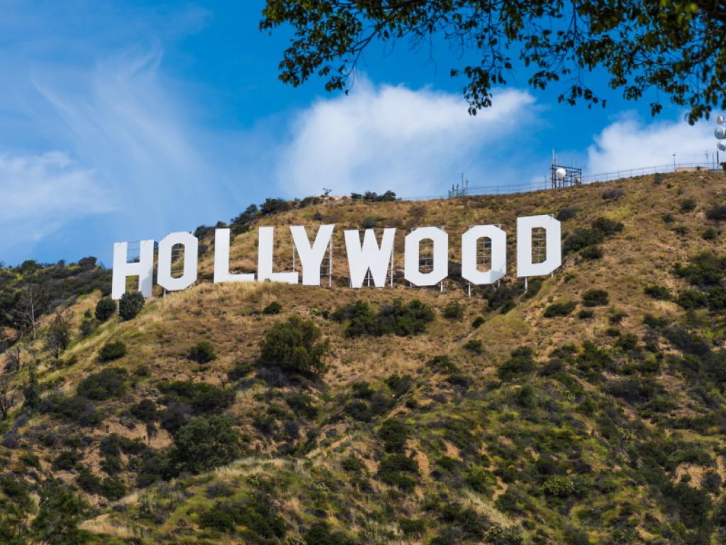 Стотици холивудски знаменитости подписаха отворено писмо в което осъждат варварските