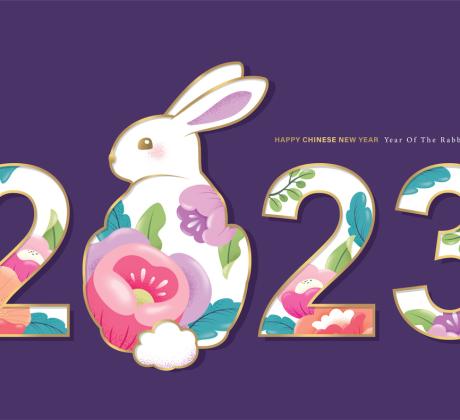 Според китайския календар 2023 ще бъде годината на Заека  Това животно