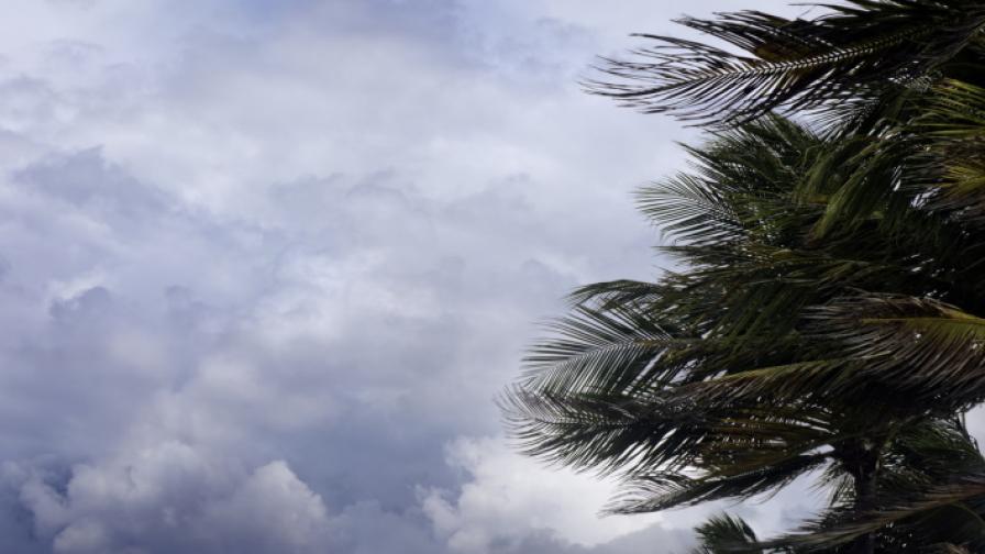 <p>Мощен ураган приближава Флорида</p>