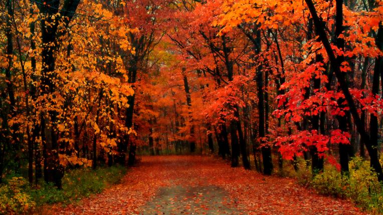  Избери си картинка и разбери какво те чака през ОКТОМВРИ 