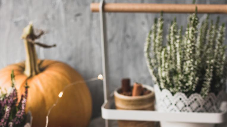  Дневен хороскоп за четвъртък, 29 септември 