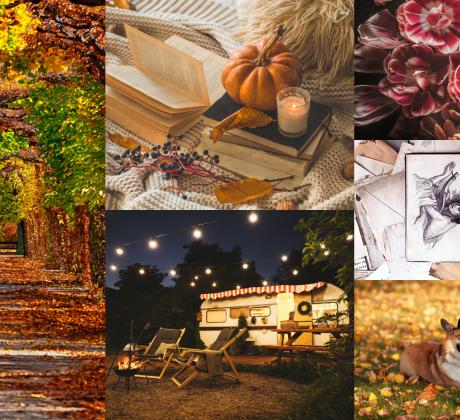 Всички се радваме на красивите снимки които ни посрещат когато