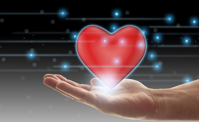 Хормонът на любовта стимулира възстановяването на сърдечната тъкан