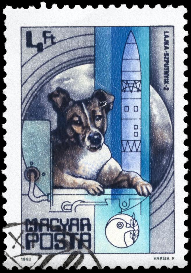 Пощенска марка с Лайка