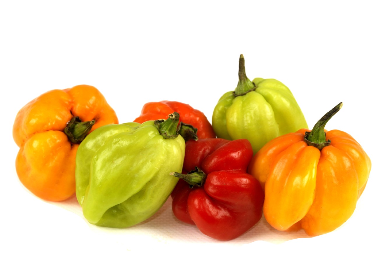 <p>Scotch Bonnet - 100 000 - 350 000 SHU</p>

<p>Scotch Bonnet е карибска чушка с малко сладост, която се съчетава с цялата тази пикантност. Най-често се среща в люти карибски ястия като пилешко месо &quot;джърк&quot; или свинско месо &quot;джърк&quot;.</p>