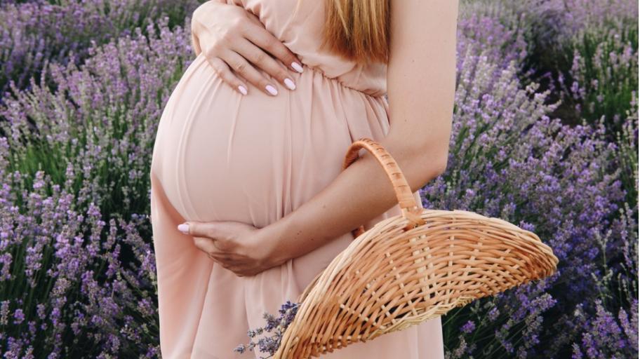 Опасни и полезни билки по време на бременност