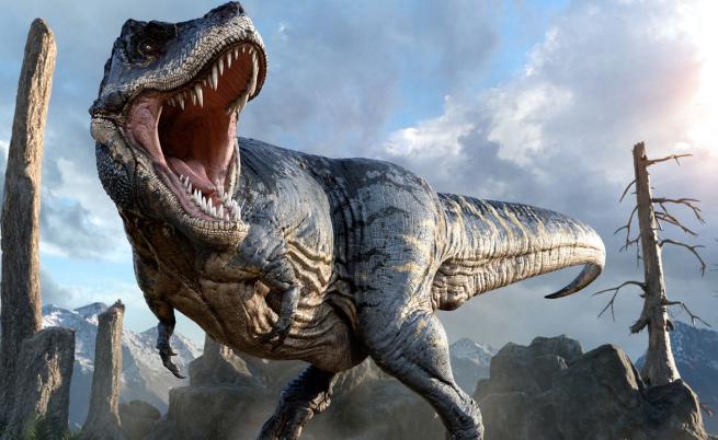 Учени изчислиха теглото на тиранозаврите