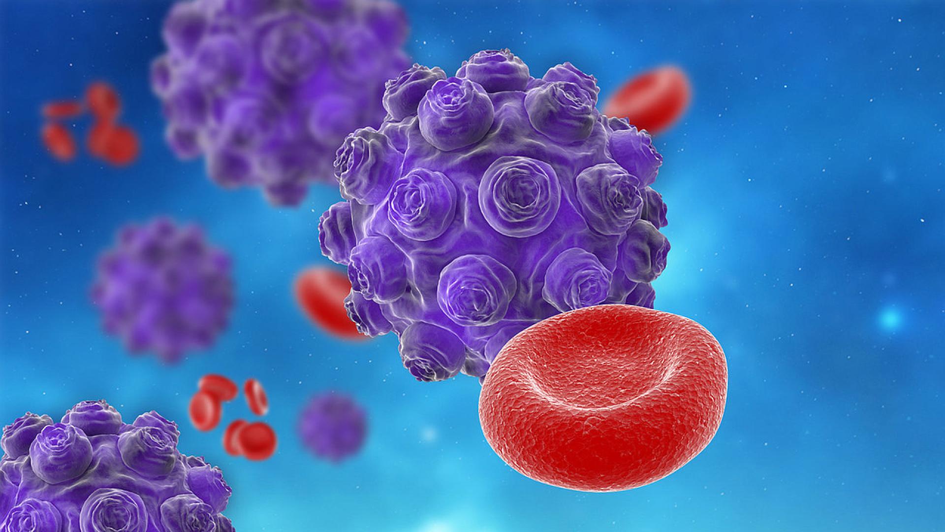 Вюгозападната част на Съединените американски щати избухна епидемия от морбили