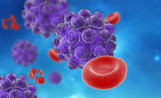 Общо 17 случая на морбили са регистрирани в област Враца