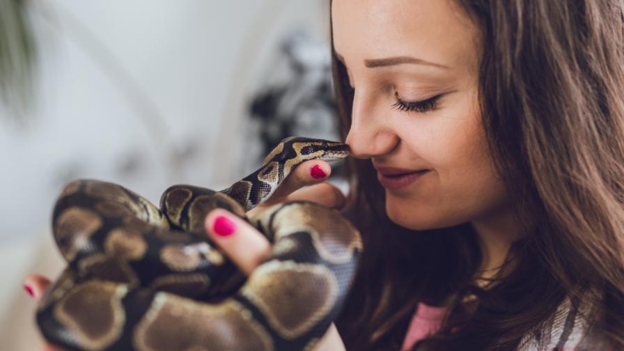 <p>Неочаквано: Змиите могат да изпитват оргазъм</p>