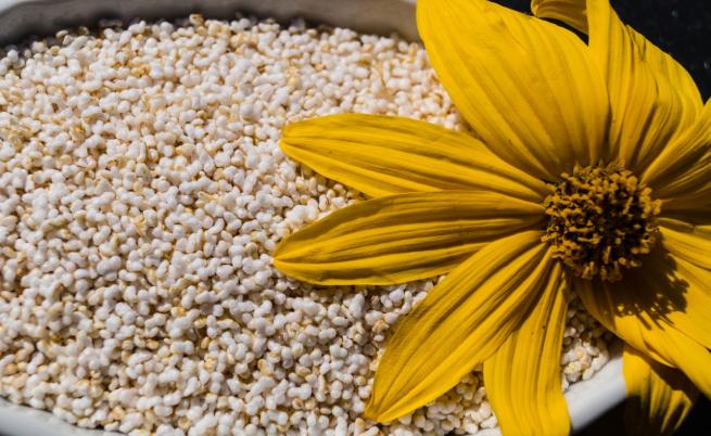 Амарант: Как една от най-древните зърнени култури се превърна в супер храна