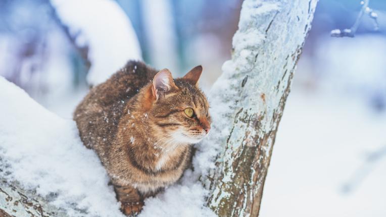  Дневен хороскоп за петък, 12 януари 