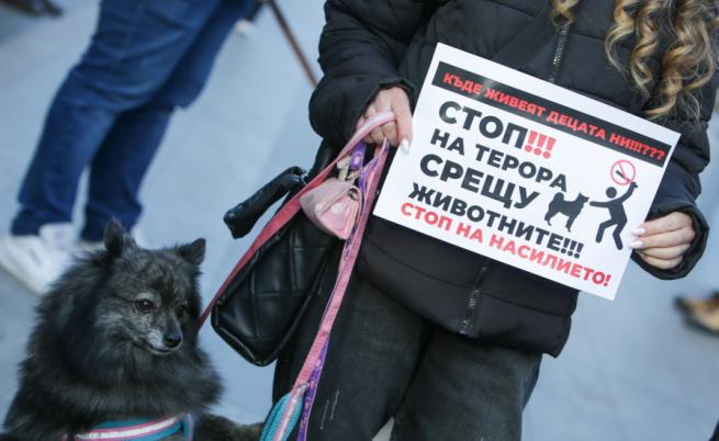 Протест срещу насилието над животни в София и в други градове
