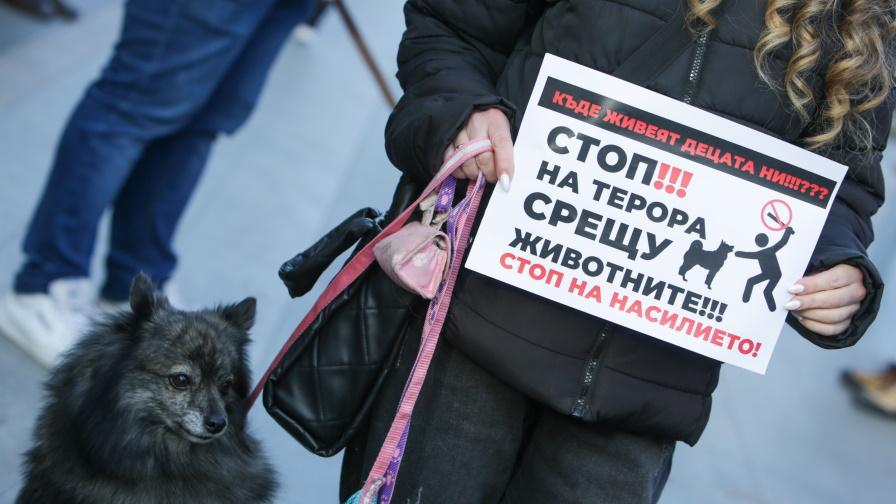 Протест срещу насилието над животни в София и в други градове
