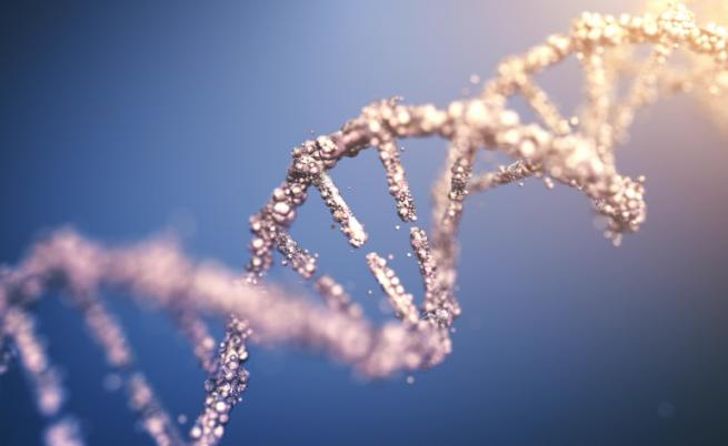 Ето как е еволюирала човешката имунна система през последните 10 хил. години