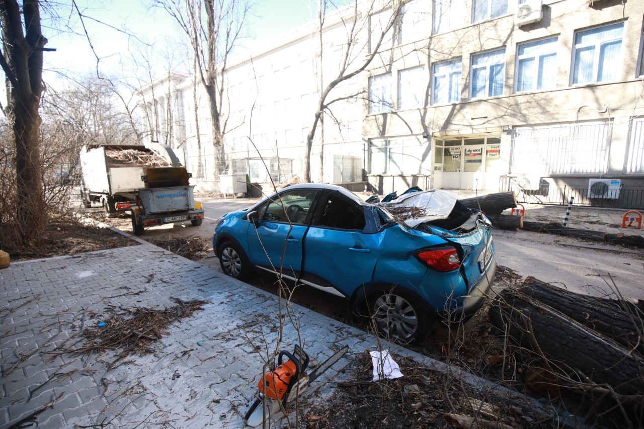 <p>Паднало дърво смаза автомобил до БТА</p>