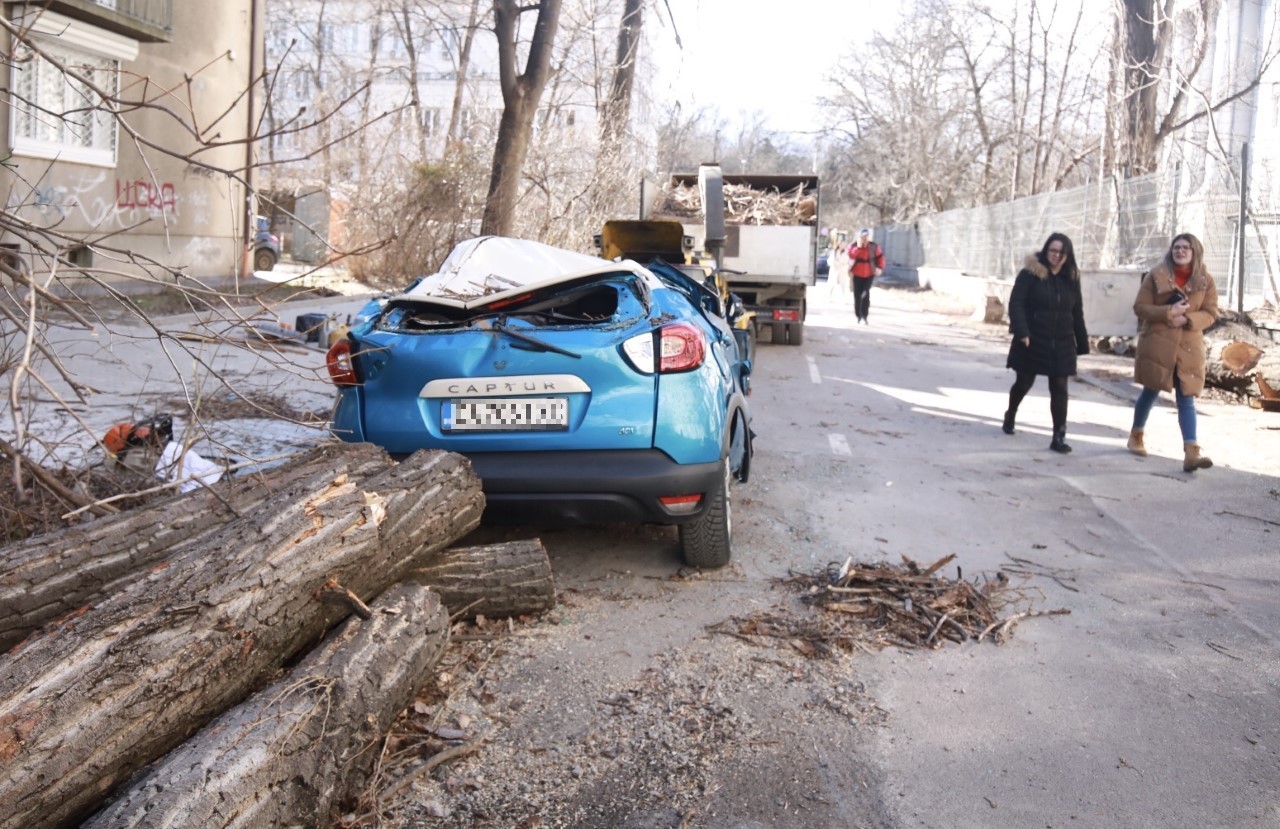 <p>Паднало дърво смаза автомобил до БТА</p>