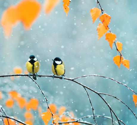 Добро утро дами Нека започнем деня с вдъхновяващи думи Разумът плетен от