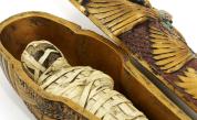 Разкриха тайната на мумифицирането в Древен Египет