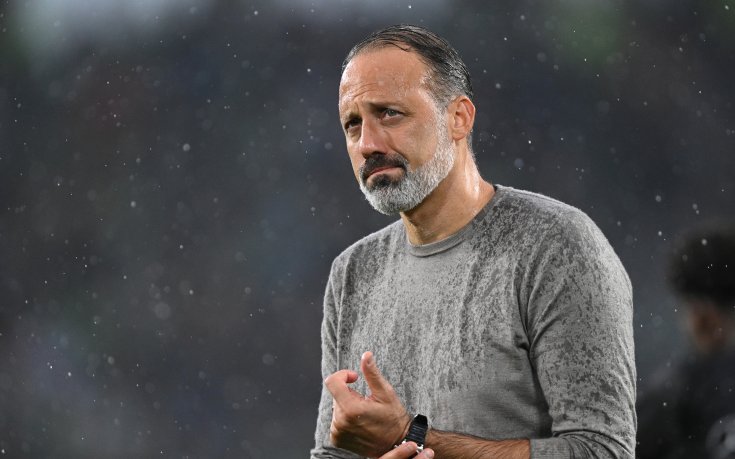 Официално: Американец е новият наставник на Хофенхайм